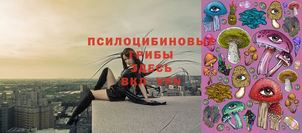 сатива Баксан