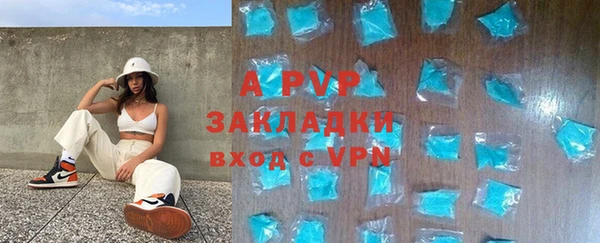 сатива Баксан