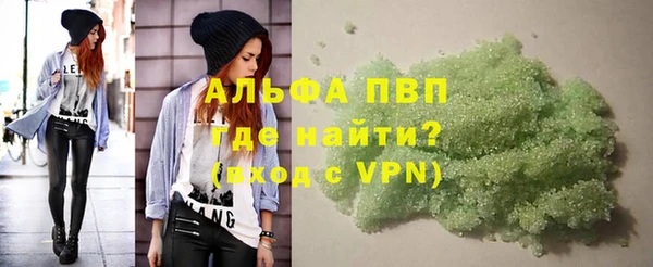 сатива Баксан
