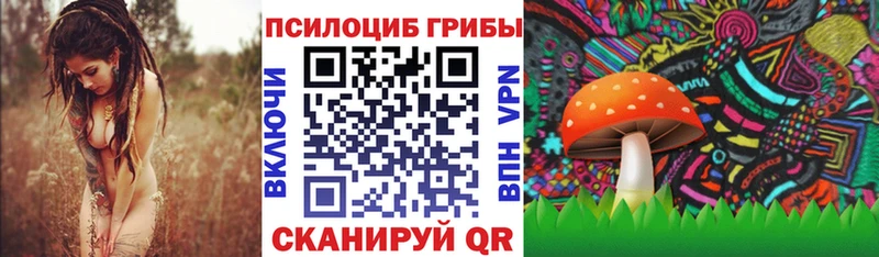 Псилоцибиновые грибы Cubensis  Купить  Пересвет 
